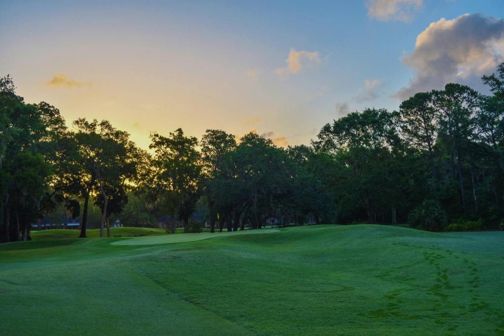 Golf course green